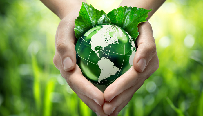 Medio Ambiente 